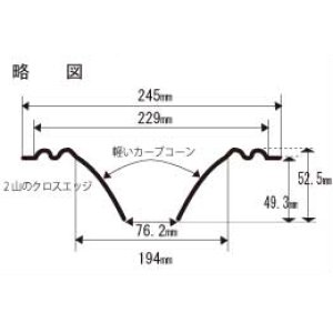 画像: コーン紙直径194.0ミリ　2山エッジ付きカーブドコーン　Altec 425-8A用　ペア【お取り寄せ商品】